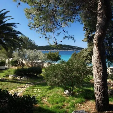 아파트 Apartment Jak