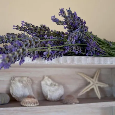 Apartment Jak Apartamento