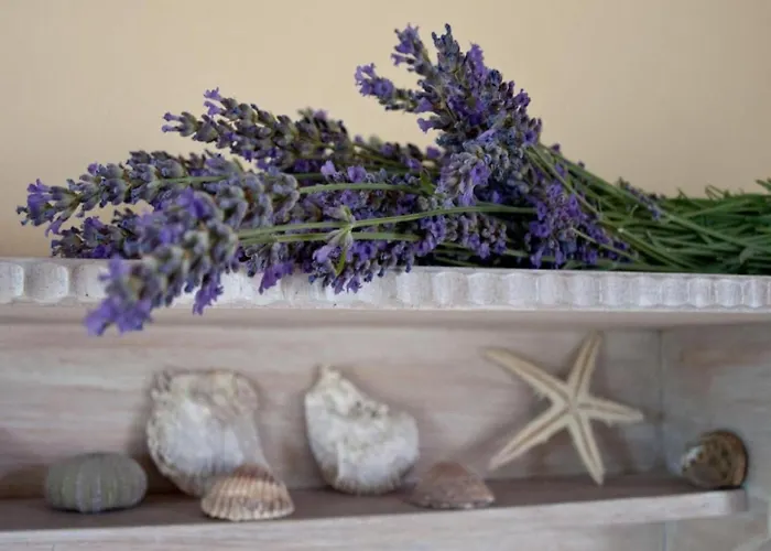 Apartment Jak Διαμέρισμα